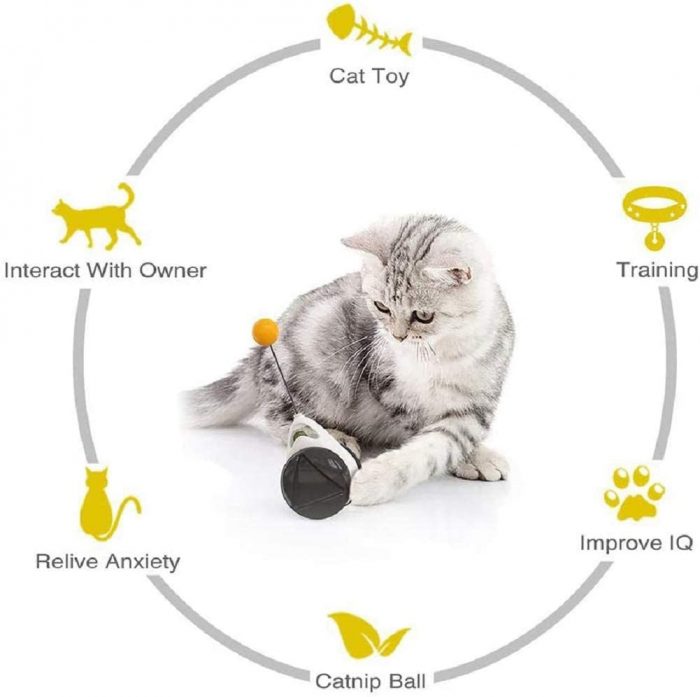 Interactive Balance Swing Car Toy With Catnip Ball - Image 2