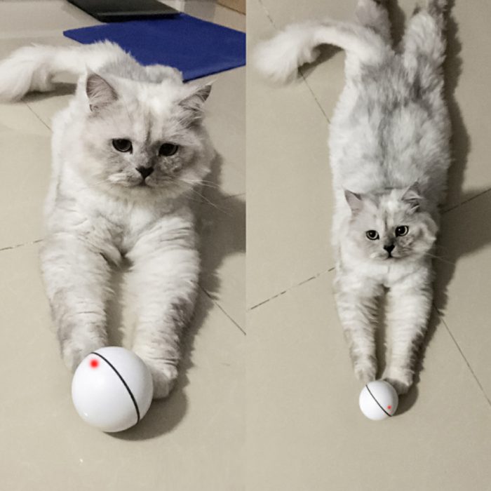 Pets Cat Interactive LED Smart Electric Cat Toy Magic Roller Ball USB Interactive Ball - Image 3