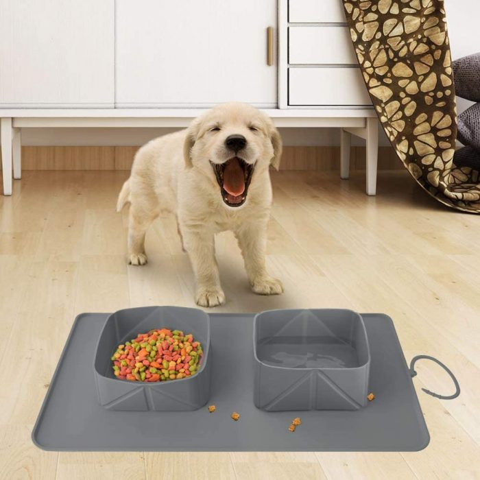 Collapsible Pet Silicone Double Bowls - Image 3