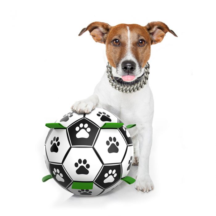 Interactive Dog Toys Pet Football Toys with Grappling Hook Dog Outdoor Training Football Pet Chew Ball Puzzle Dog Accessories