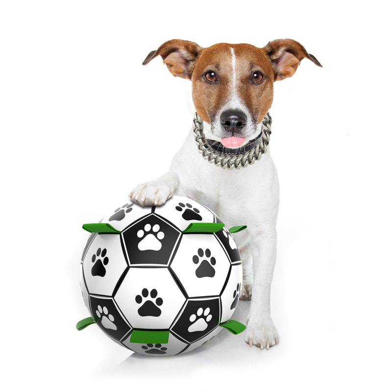 Interactive Dog Toys Pet Football Toys with Grappling Hook Dog Outdoor Training Football Pet Chew Ball Puzzle Dog Accessories