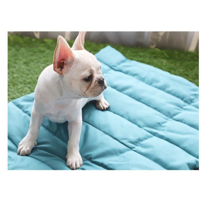 Folding Reusable Pet Training Pad - Image 6
