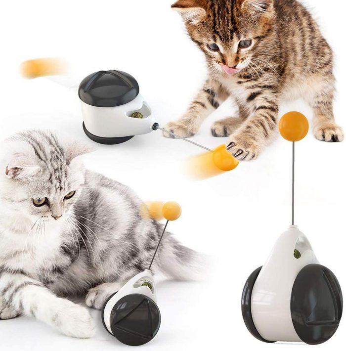 Interactive Balance Swing Car Toy With Catnip Ball
