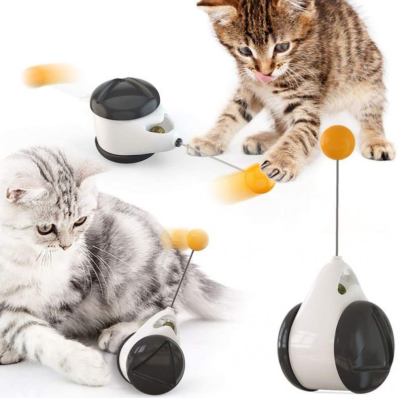 Interactive Balance Swing Car Toy With Catnip Ball