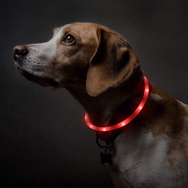 3 Modes Luminescence LED Luminous Collar For Dogs Cats Usb Rechargeable Safety Luminous Collar With Adjustable Length