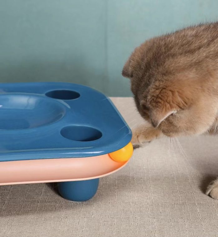 2in1 Cat Multifunctional Food Basin Bowls Toy Tower Tracks Disc Ball Training Plate - Image 3