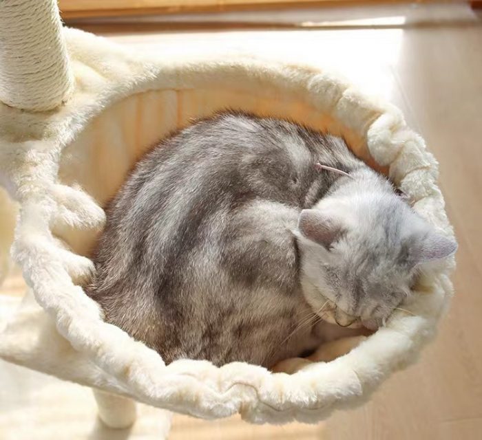 Cat Scratcher Tree Cat House Multi-layer Toys With Hammock Pet Cat House - Image 3