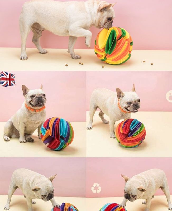 Pet Foldable Snuffle Ball---PS0059