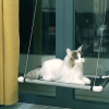 Cat Window Perch Hammock Saving Inside Space Sill Seat Easy to Mounted Pet Bed