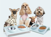 Double Dog Cat Bowls Premium Stainless Steel Pet Bowls No-Spill Resin Station, Food Water Feeder for Pets