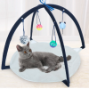 Cat Tent Toys Hanging Toys Pets Toys Cat Play mat Blanket House Detachable Kitten Tents