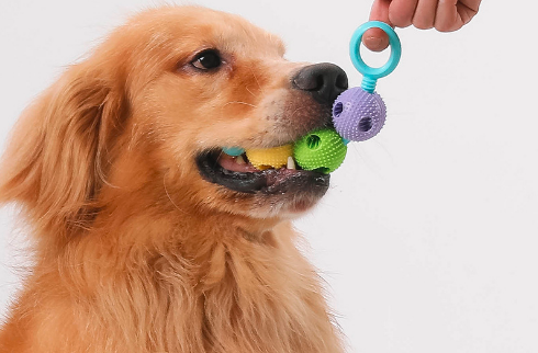 Dog Chew Toys for Puppy Teething Durable Toys for Cleaning Teeth Leaky Food Toy