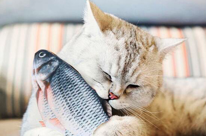Floppy Fish Dog Toy,Floppy Fish Doll,Interactive Cat Toys for Indoor Cats USB Charging,Cat Chew Toy Can Kick and Chew,,Simulation Fish Toy for Cats