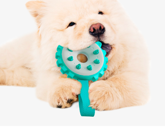 Pet Chewing Cleaning Toy Toothbrush Clean Teeth Pet Leaking Food Toy Outdoor Training Interactive Toy