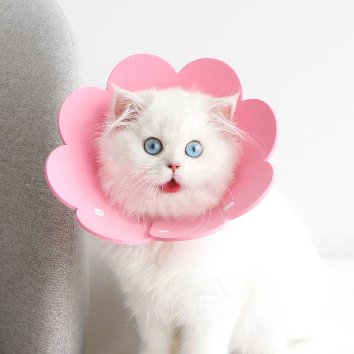 Sunflower Circle Cat Recovery EVA Collar PET Cone Collar Pet Cones for Cats, Adjustable Sunflower Elizabeth Collar Postoperative Protection Soft Cat Cone - Image 4