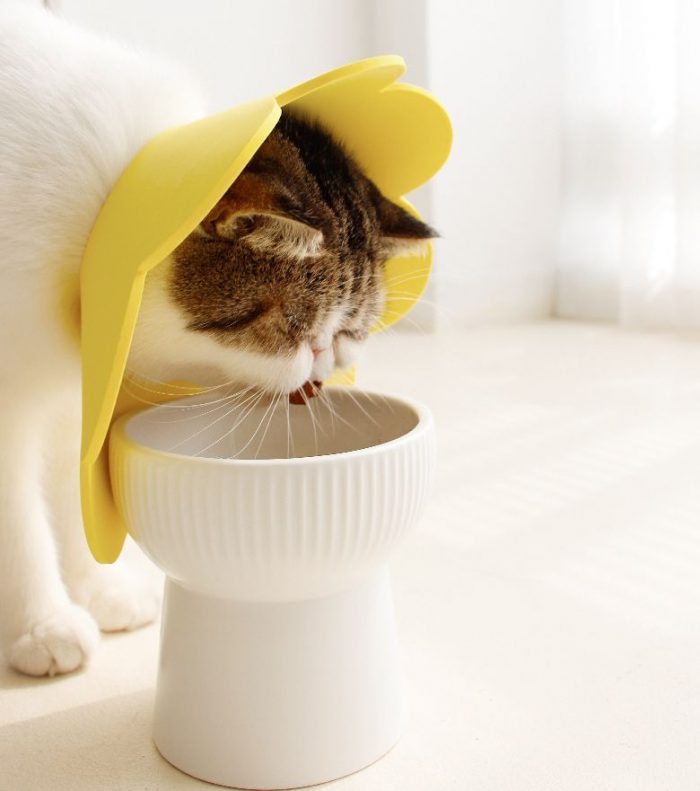 Sunflower Circle Cat Recovery EVA Collar PET Cone Collar Pet Cones for Cats, Adjustable Sunflower Elizabeth Collar Postoperative Protection Soft Cat Cone - Image 3