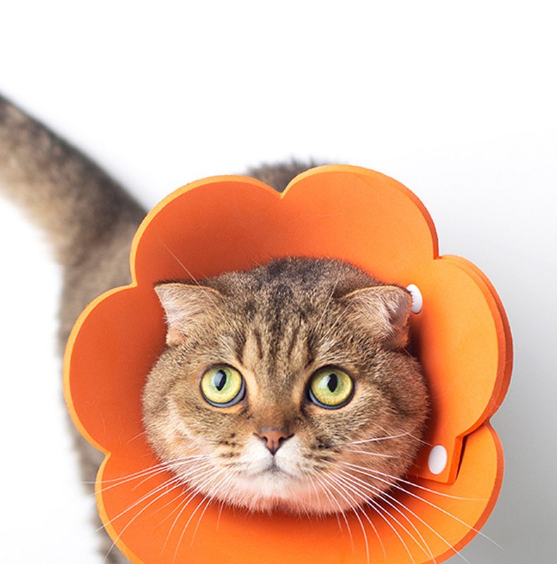 Sunflower Circle Cat Recovery EVA Collar PET Cone Collar Pet Cones for Cats, Adjustable Sunflower Elizabeth Collar Postoperative Protection Soft Cat Cone
