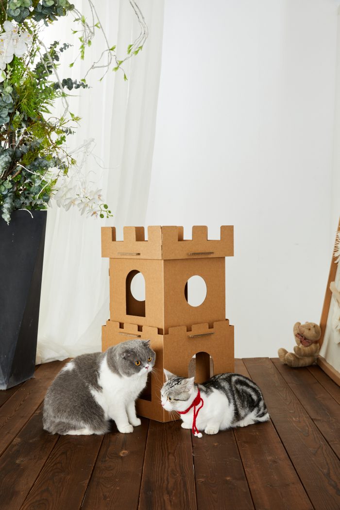 Cat Cardboard House Cat Scratcher House with Castle design Cat Play House for Indoor DIY Corrugated Scratcher Box - Image 5