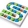 Pet Puzzle Toy