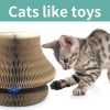 Magic Organ Cat Scratching Board - Image 4
