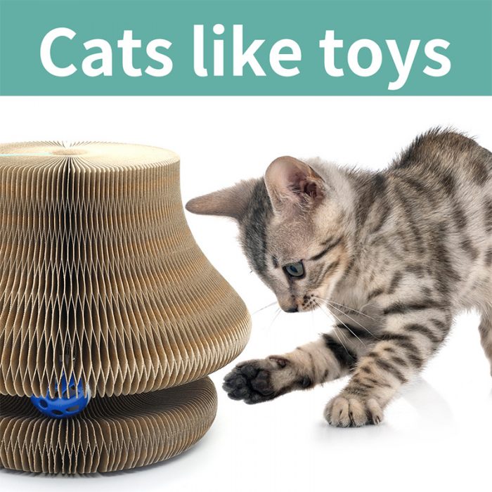 Magic Organ Cat Scratching Board - Image 4