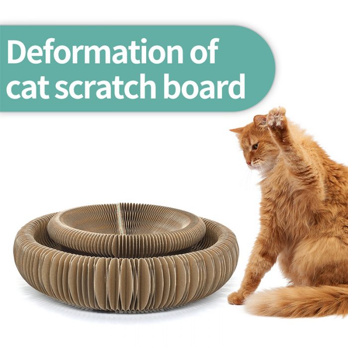 Magic Organ Cat Scratching Board - Image 3