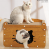 Cat Scratcher House - Image 2
