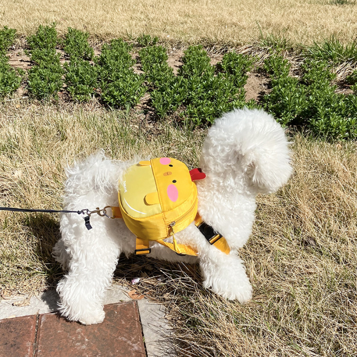 Pet backpack - Image 2