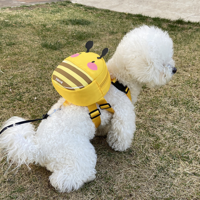 Pet backpack