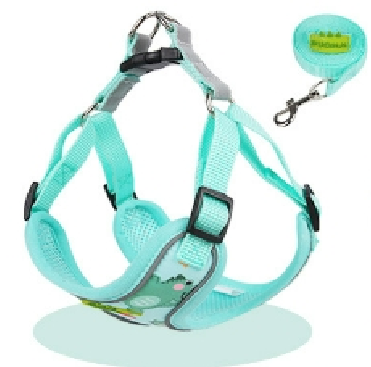 Personalized Pet Puppy Harness and Leash Set for Small Dogs Cats