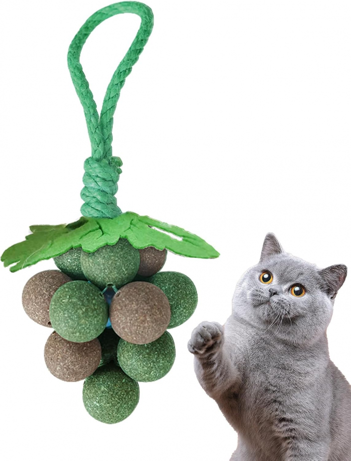 Catnip Ball Toy, Edible Mint Cat Chew Toys, Teeth Grinding Cat Bite Toys, Bite Resistant Catnip Stuffed Toy, Calculus Prevent Interactive Cat Toy for Indoor Outdoor Cats Kitten Exercise Training - Image 5