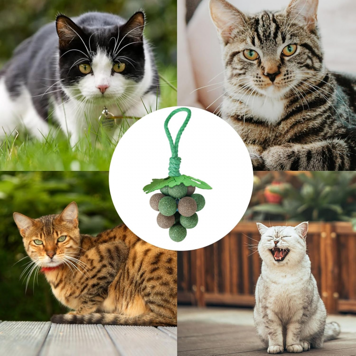 Catnip Ball Toy, Edible Mint Cat Chew Toys, Teeth Grinding Cat Bite Toys, Bite Resistant Catnip Stuffed Toy, Calculus Prevent Interactive Cat Toy for Indoor Outdoor Cats Kitten Exercise Training - Image 4