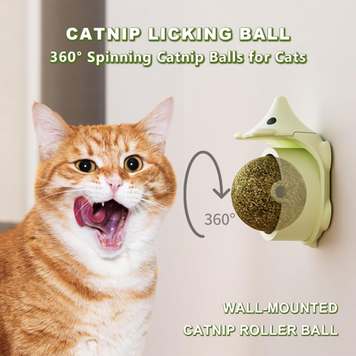 Catnip Toys Balls That Stick On Wall, 2 in 1 Catnip Wall Balls for Cats Lick & Scratch, Cat Face Scratcher Cat Self Groomer Cat Wall Brush Catnip Toys for Indoor Cats - Image 4