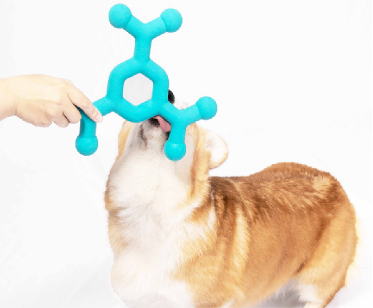 Molecular Foam Dog Toys