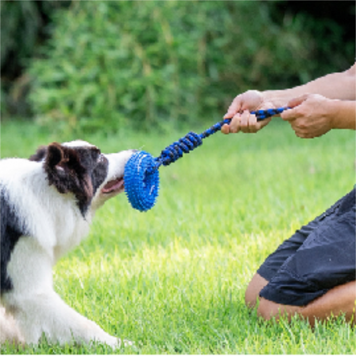 Dog toy Funny Squeaky Toy - Image 3