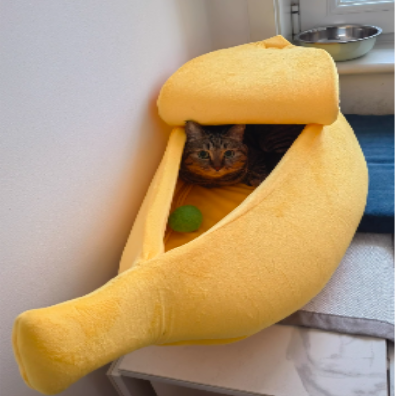 Cat Dog Pet Banana Nest