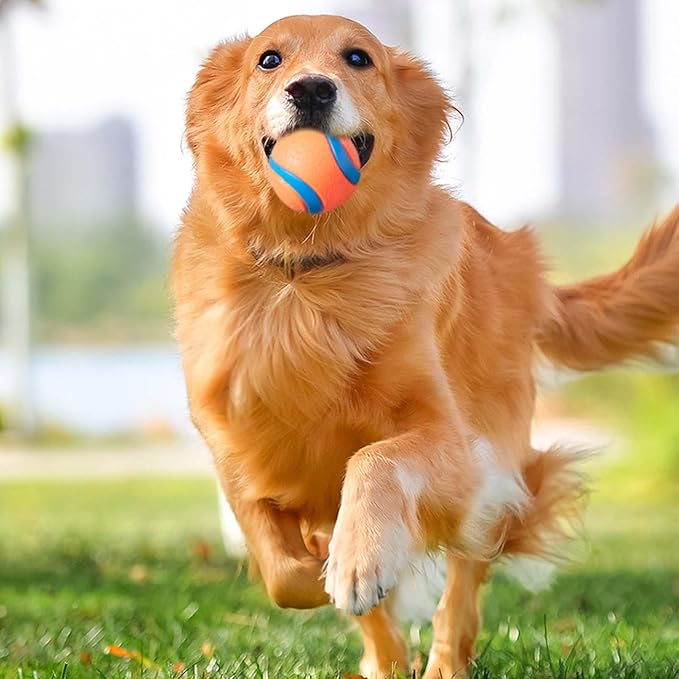 Squeaker Dog Ball Bounce Ball Playmate for Fetching Fun