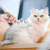 Pet Cleaning Spray Comb