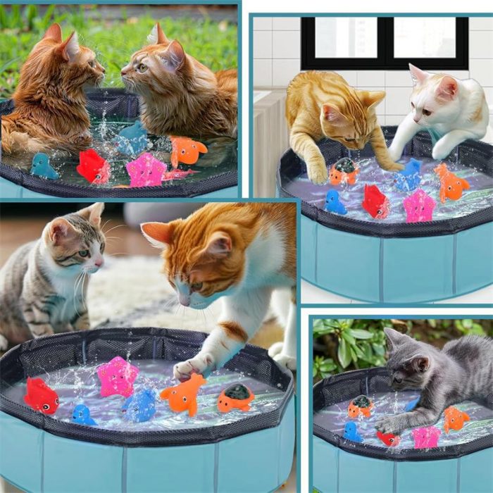 Kitty Pool Cat Play – Pet Shop