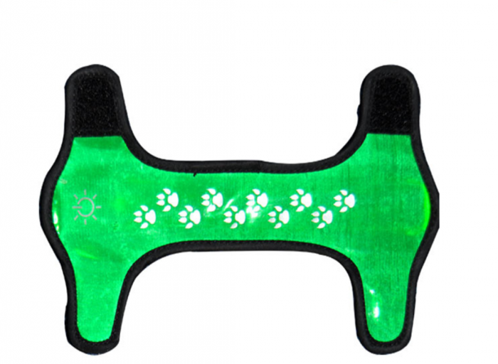 Luminous collar - Image 2