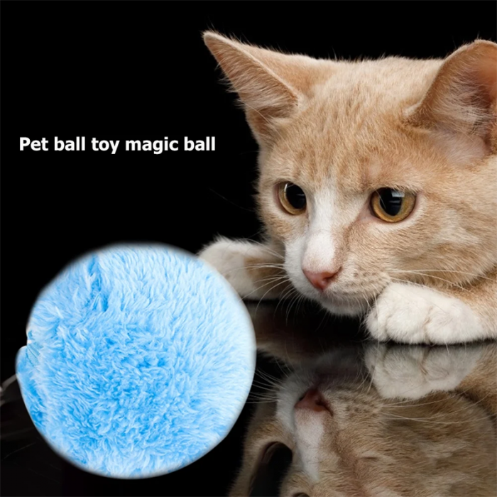 Automatic Pet Ball - Image 2