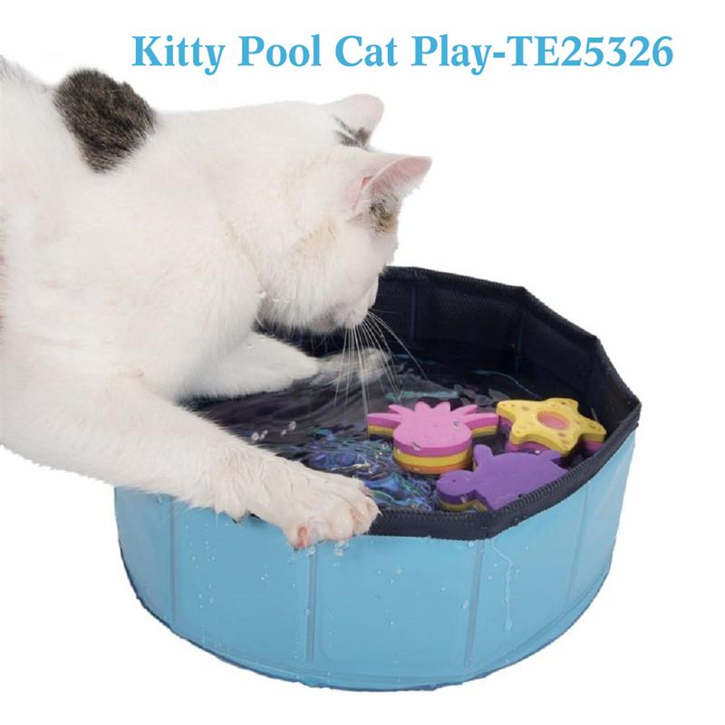 Kitty Pool Cat Play