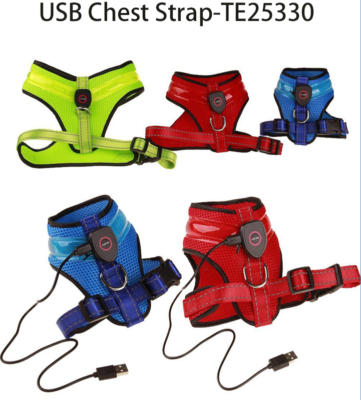 USB Chest Strap