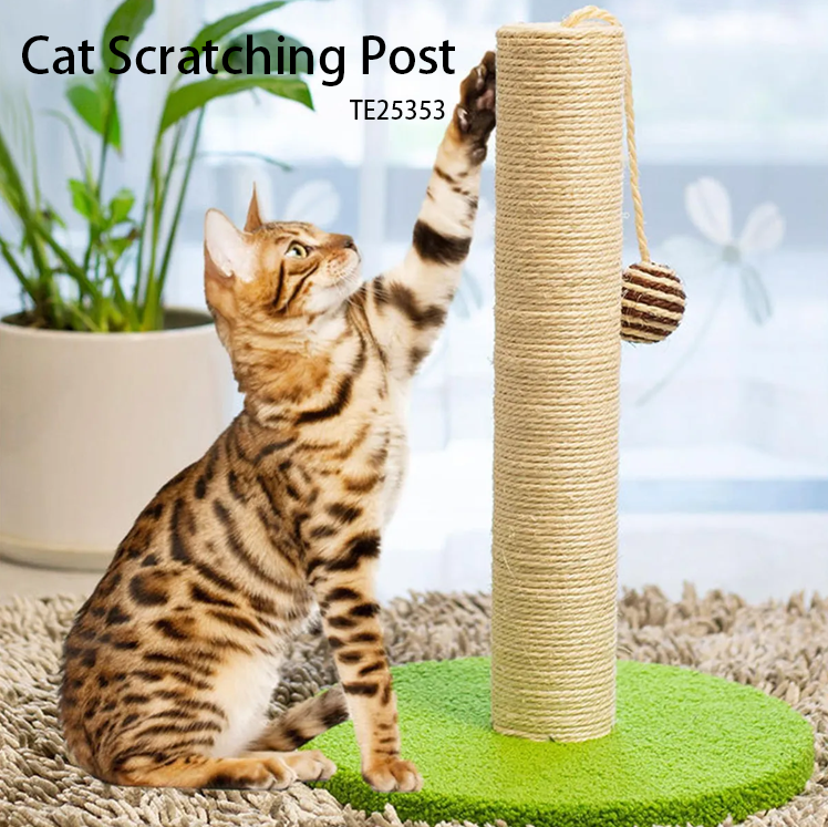 Cat Scratching Post