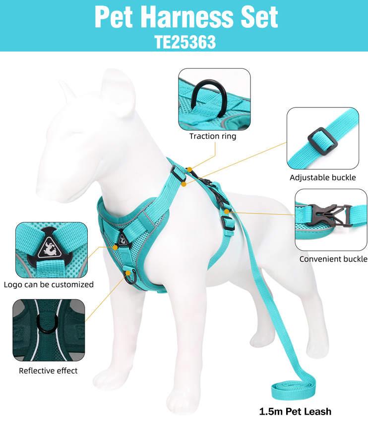 Pet Harness Set