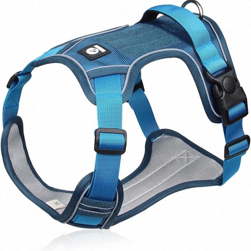 Dog Harness with Handle