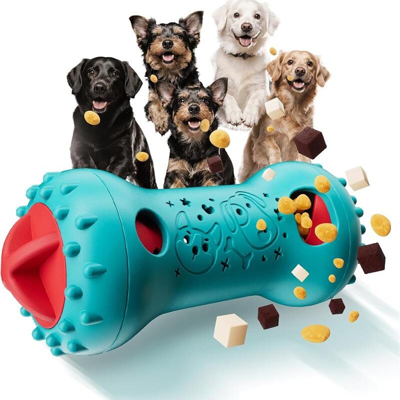Interactive Dog Toy