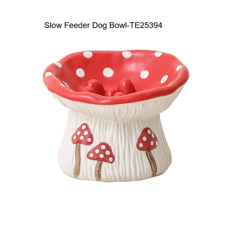 Slow Feeder Dog Bowl