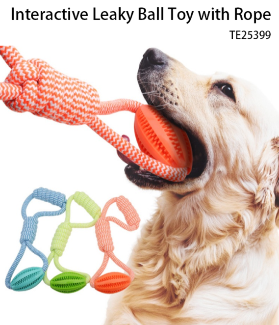Interactive Leaky Ball Toy with Rope