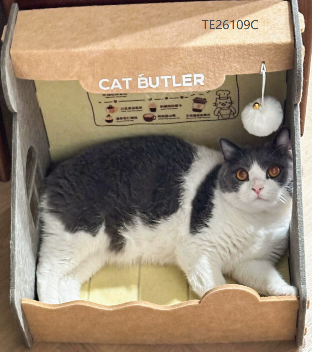 Semi-Enclosed Cat Bed